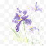 绽放的紫色花水墨画PNG免抠素材