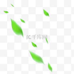飘浮的绿叶图片_飘浮的绿叶植物海报素材