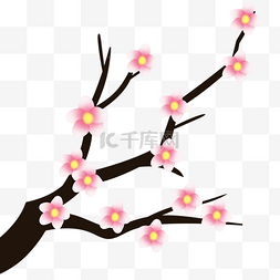 植物粉色桃花