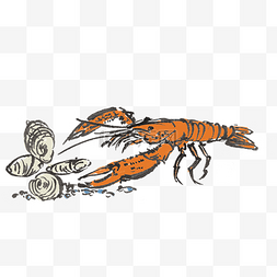 小龙虾龙虾