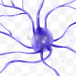 立体科学图片_医学紫色神经元