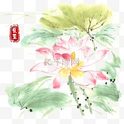 夏至荷花水墨画