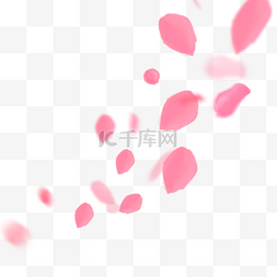 粉色花瓣飘落漂浮素材