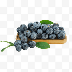 蓝莓黑桑葚图片_水果蓝莓