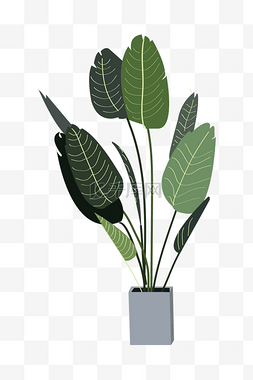 绿色植物插画图片_方形卡通盆栽插画