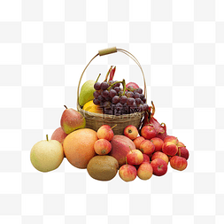 水果篮子
