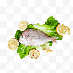 生食食材图片_海鲜食材红立鱼