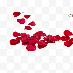 红色妇女节38妇女节图片_38红色花瓣花朵