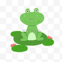 绿色小青蛙图片_夏季荷塘的小青蛙