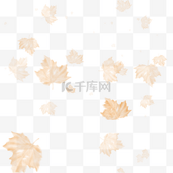 枫叶漂浮素材图片_黄色枫叶漂浮