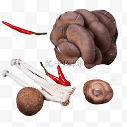 金针菇小米椒平菇香菇