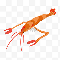 红色虾子图片_龙虾虾子大虾