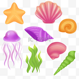 贝壳海星海螺图片_海边海洋生物夏天