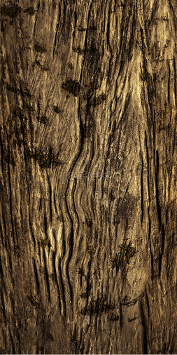 棕色树木树皮