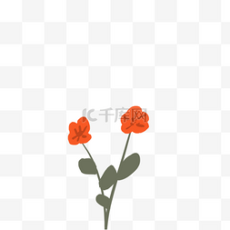 红色的花盆栽图片_红色的鲜花免抠图