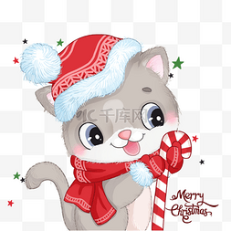 猫咪围巾图片_圣诞节玩耍猫咪