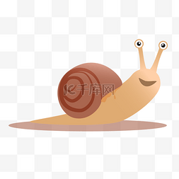 蜗牛动物爬行雨天潮湿生物