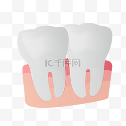 白色牙齿png图片_俩颗白色牙齿