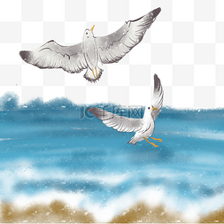 海浪海鸥飞鸟