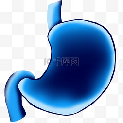 人体胃部器官图片_胃部器官卡通插画