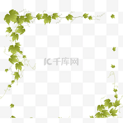 绿色手绘树叶边框图片_绿藤边框