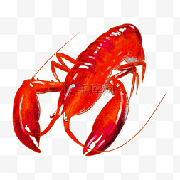 龙虾拼盘图片_大龙虾红色海鲜插画