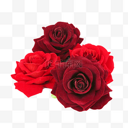 红玫瑰花球图片_鲜花红玫瑰