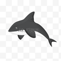 黑色鲨鱼图片_黑色鲨鱼鱼类