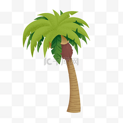 沙滩海边椰子树图片_清新夏季海边椰子树