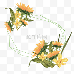橙色太阳花图片_黄色向日葵边框手绘水彩插画元素