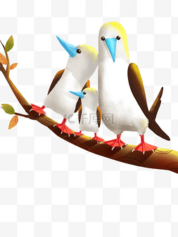 枇杷叶树枝图片_站在树枝上的小鸟