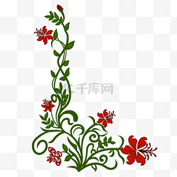 红色花藤植物