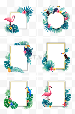 绿色和粉色图片_夏季热带植物和鸟类边框组图