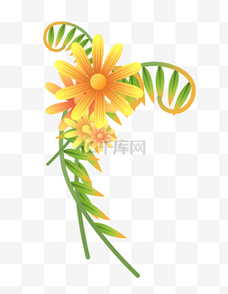 春季植物花卉图片_春季黄色花卉