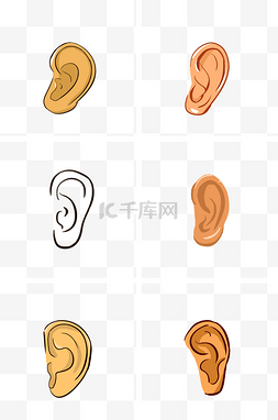 耳朵短毛图片_人体耳朵总图
