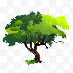 曲型的绿色树木插画
