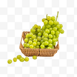 绿色葡萄图片_新鲜水果葡萄
