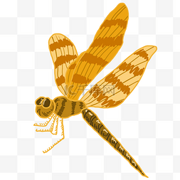 黄色飞行昆虫蜻蜓