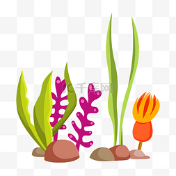 植物图片_矢量海藻海洋植物