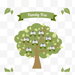 家族家谱树绿色照片树