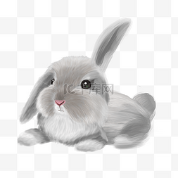 梦幻唯美动物小兔子素材