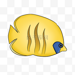 黄色鱼类生物