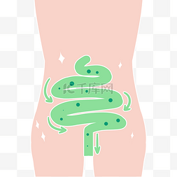 肠道菌群检测图片_人体绿色肠道健康