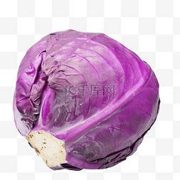 蔬菜紫甘蓝