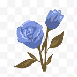 蓝色玫瑰花图片_唯美蓝色花朵插画