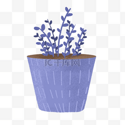 紫色花朵盆栽图片_一盆紫色花朵盆栽