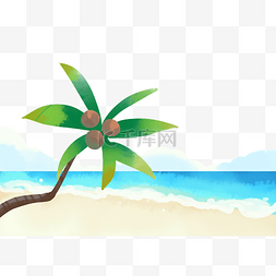 大海海滩椰子树