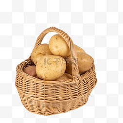 土豆炖粉条图片_新鲜蔬菜土豆