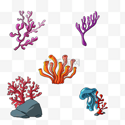 海洋珊瑚植物
