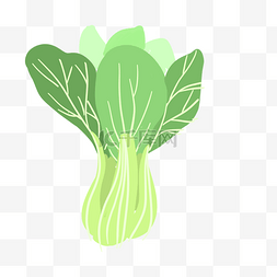 小白菜卡通图片_蔬菜食材小白菜卡通